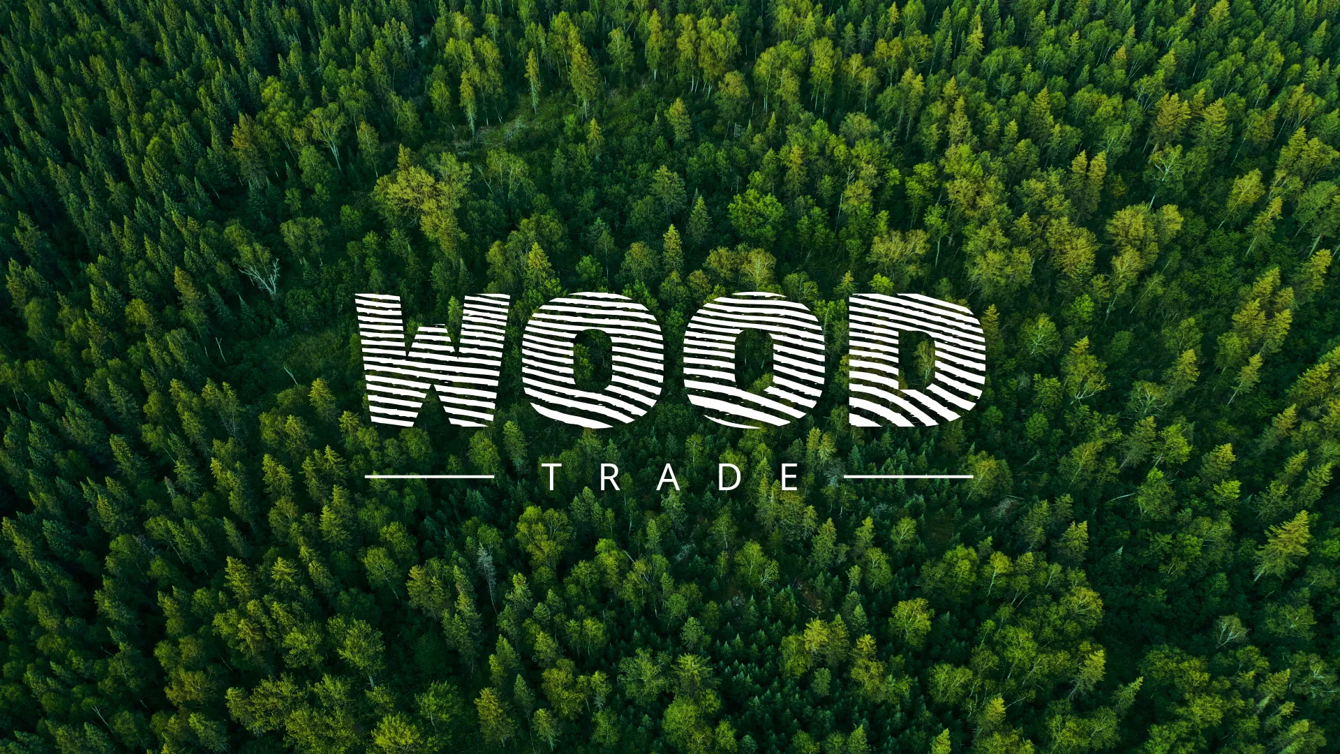 Разработка интернет-магазина компании «Wood Trade» в Дятьково